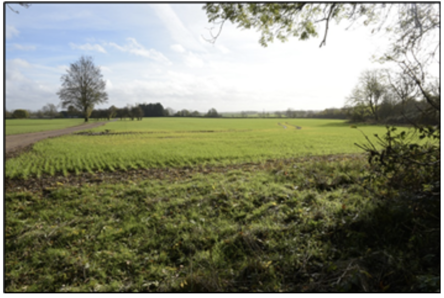 Bowlands Gibbet View