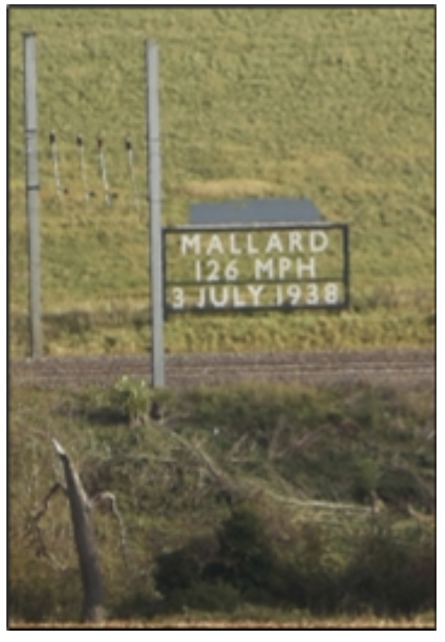 Mallard Sign