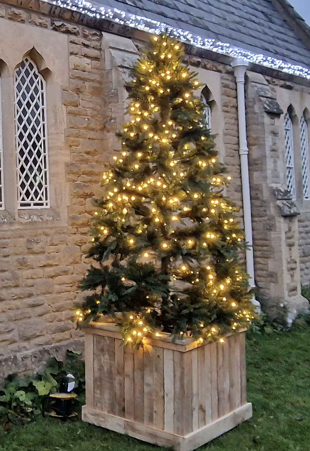 Christmas Tree Lights